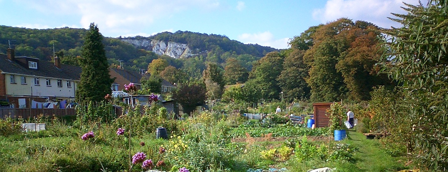 Allotments